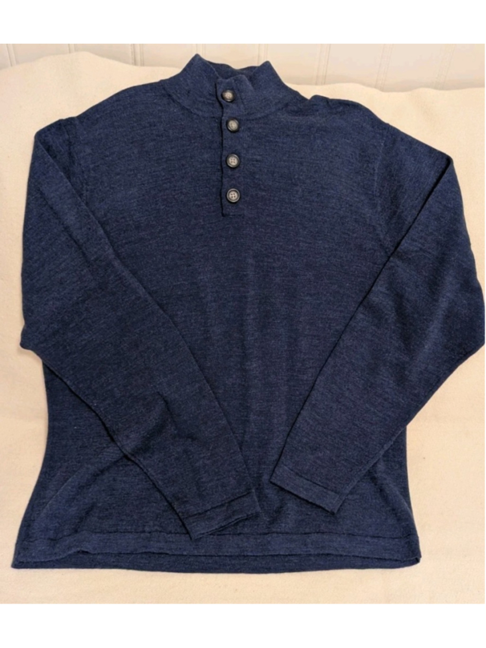 GARRET SCOTT 100% Extra Fine Merino Wool Pullover Sweater Mens XL Blue 072
